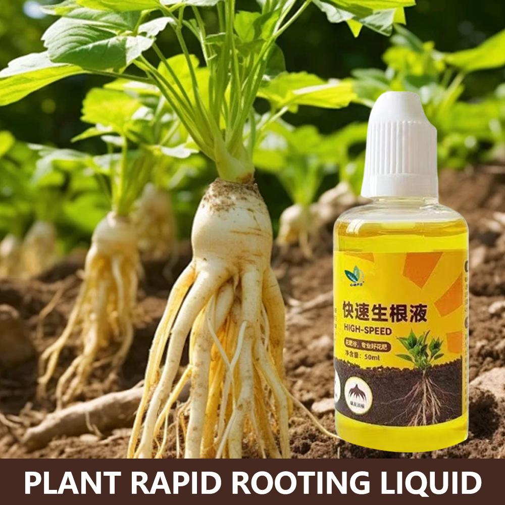 Root Stimulator Liquid - Stimulator Akar Tanaman Hijau Cair Pemotong