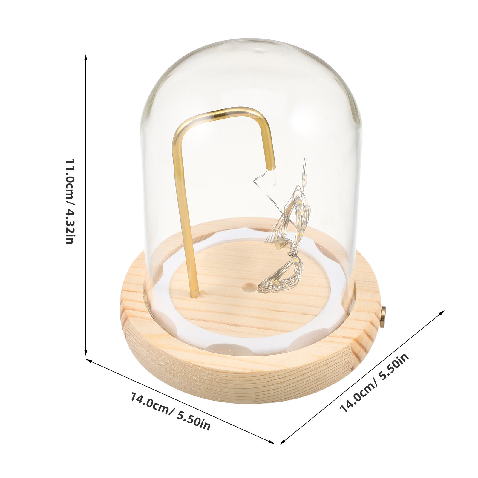 Kubah Pajangan Kaca dengan Ala - Plastic Dome Clear ulasan dan harga