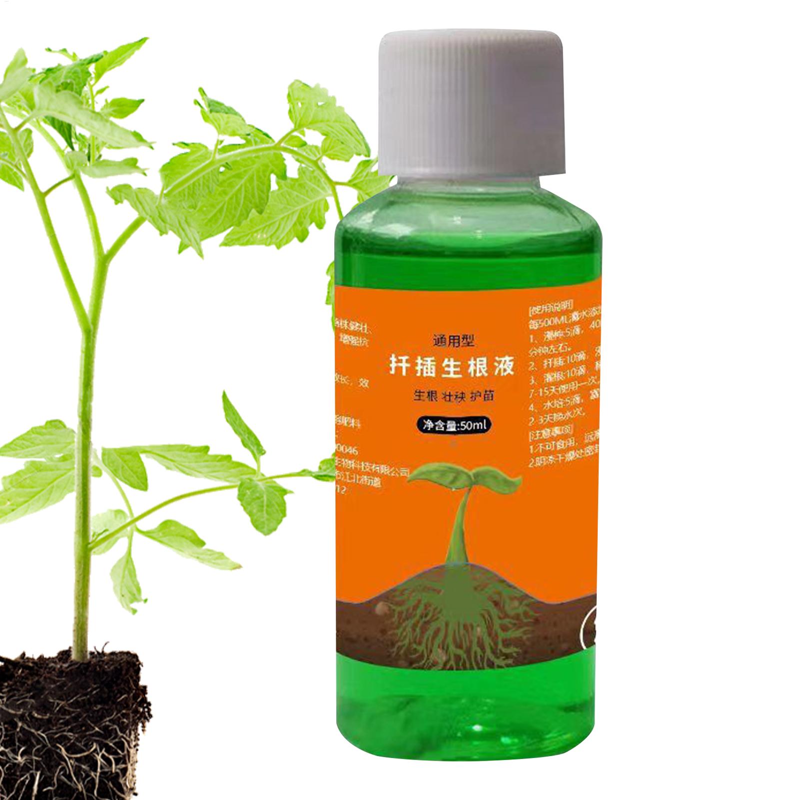 50ml Larutan Nutrisi Transplan - Root Stimulator Liquid ulasan dan harga