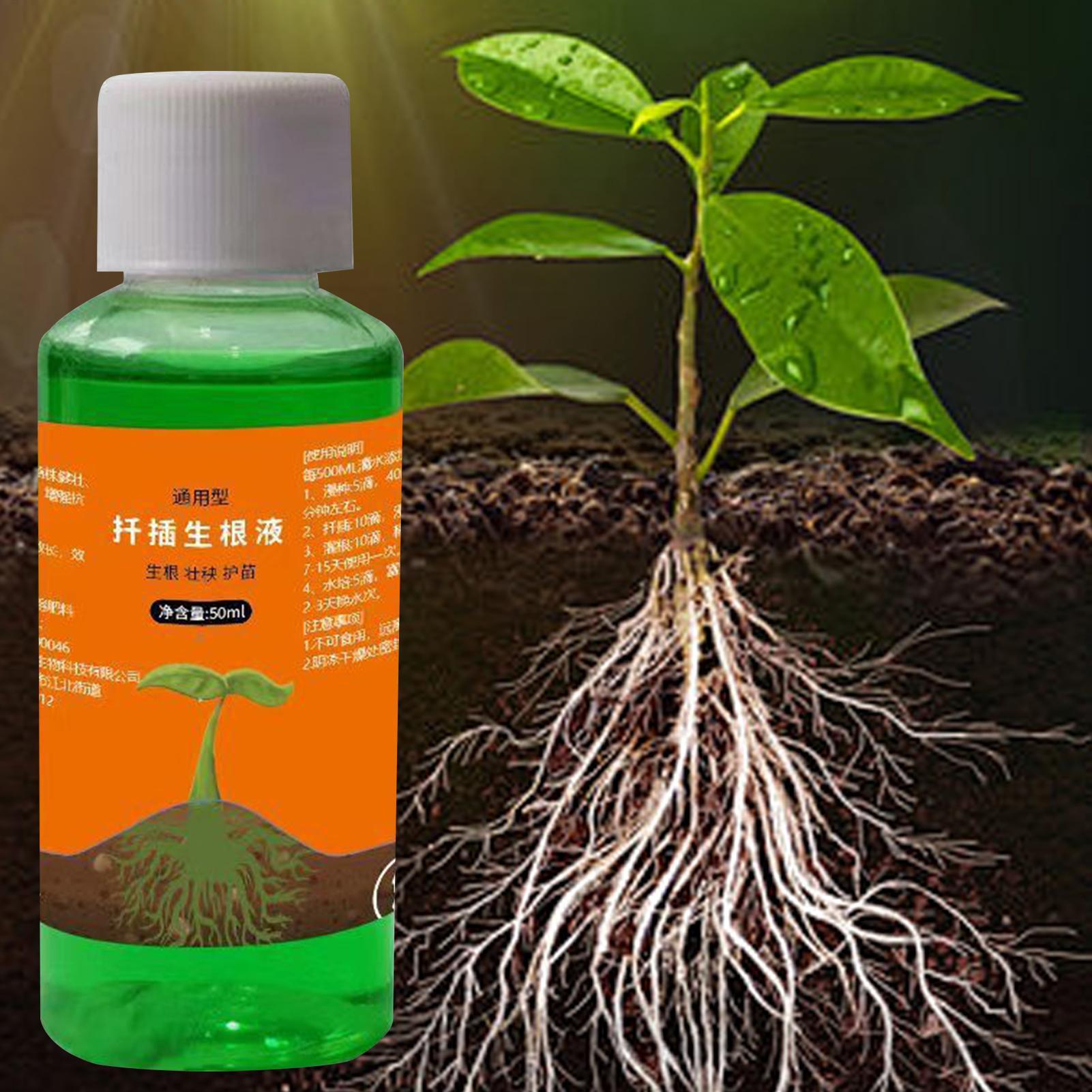 50ml Larutan Nutrisi Transplan - Root Stimulator Liquid ulasan dan harga