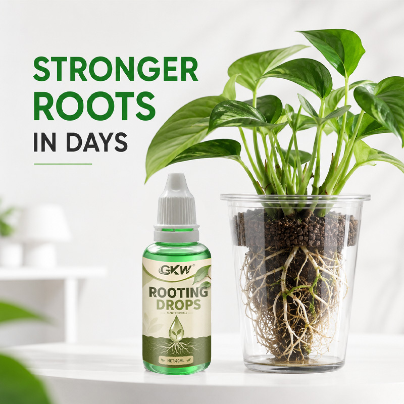 40ml Cairan Stimulator Akar, m - Root Stimulator Liquid ulasan dan harga