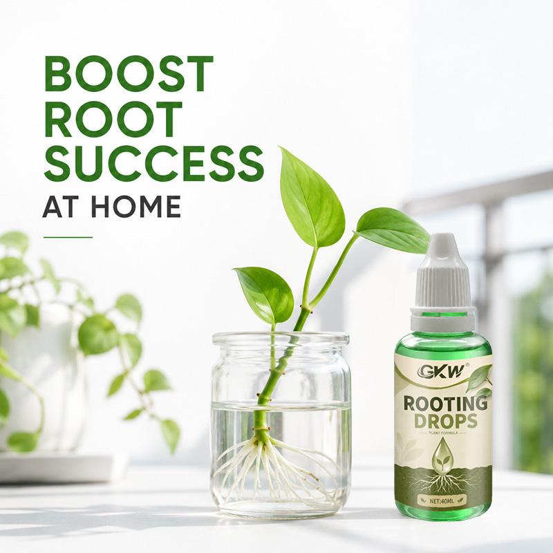 40ml Cairan Stimulator Akar, m - Root Stimulator Liquid ulasan dan harga