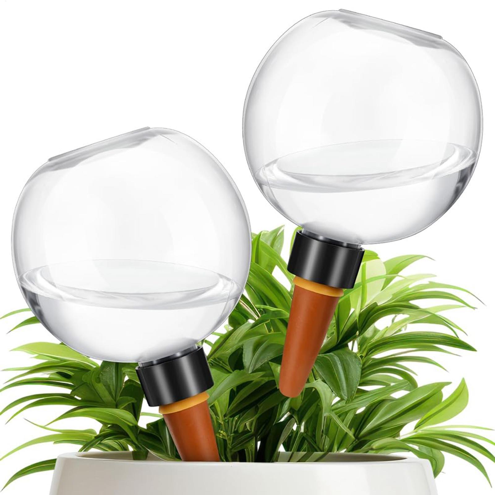 Bola Penyiram Tanaman Otomatis - Self Watering Insert ulasan dan harga
