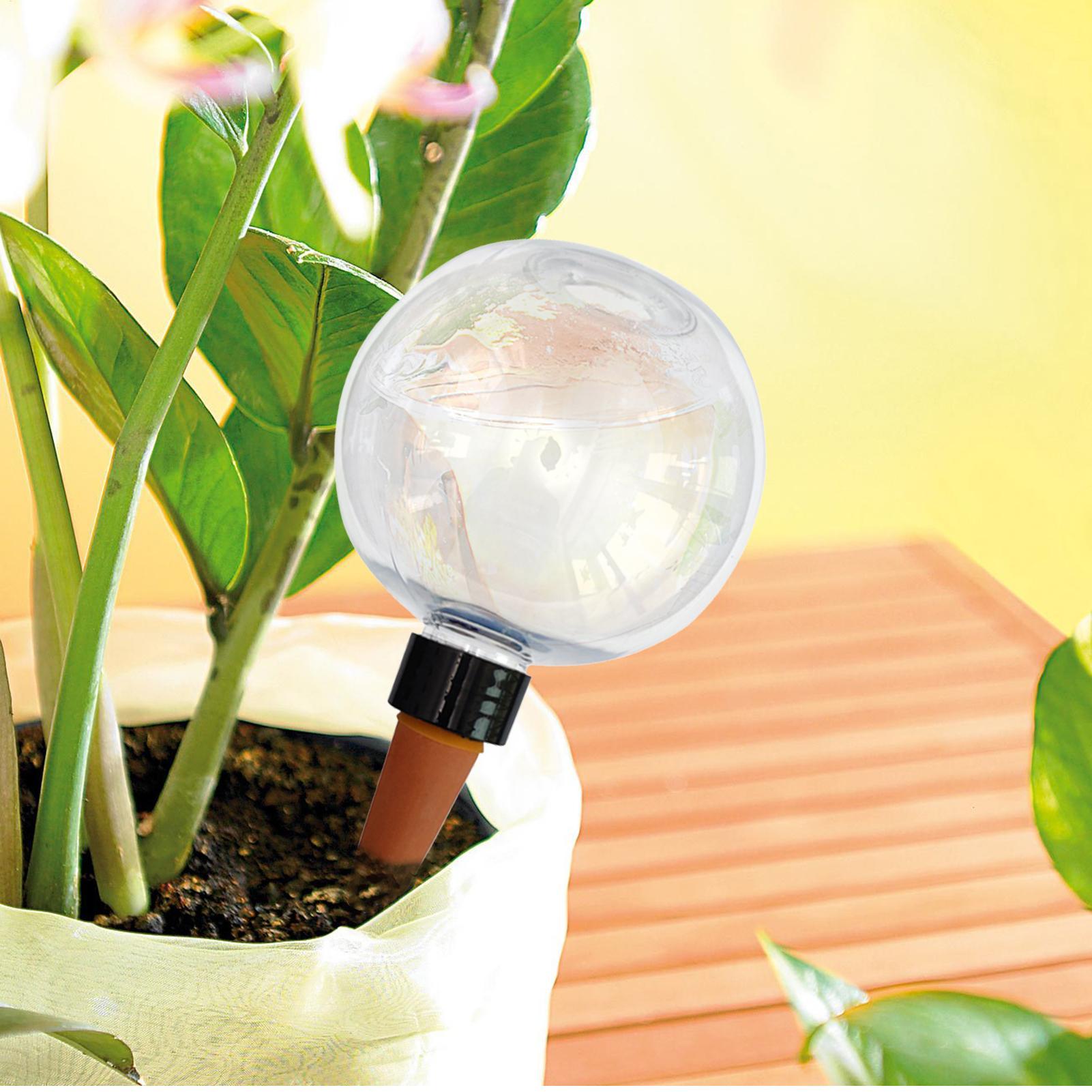 Bola Penyiram Tanaman Otomatis - Self Watering Insert ulasan dan harga
